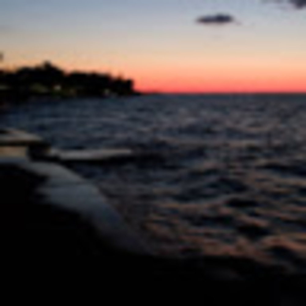 Meet your Posher, Ross